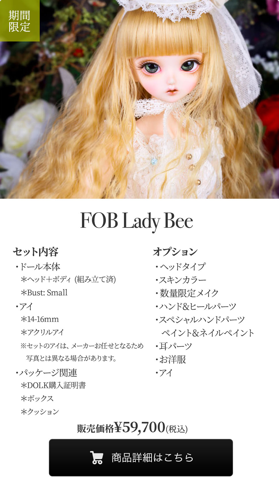 【期間限定】FOB Lady Beeの商品詳細はこちら