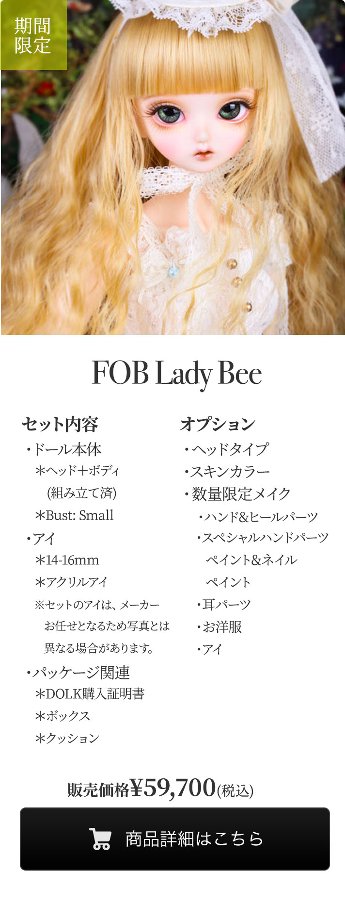 【期間限定】FOB Lady Beeの商品詳細はこちら