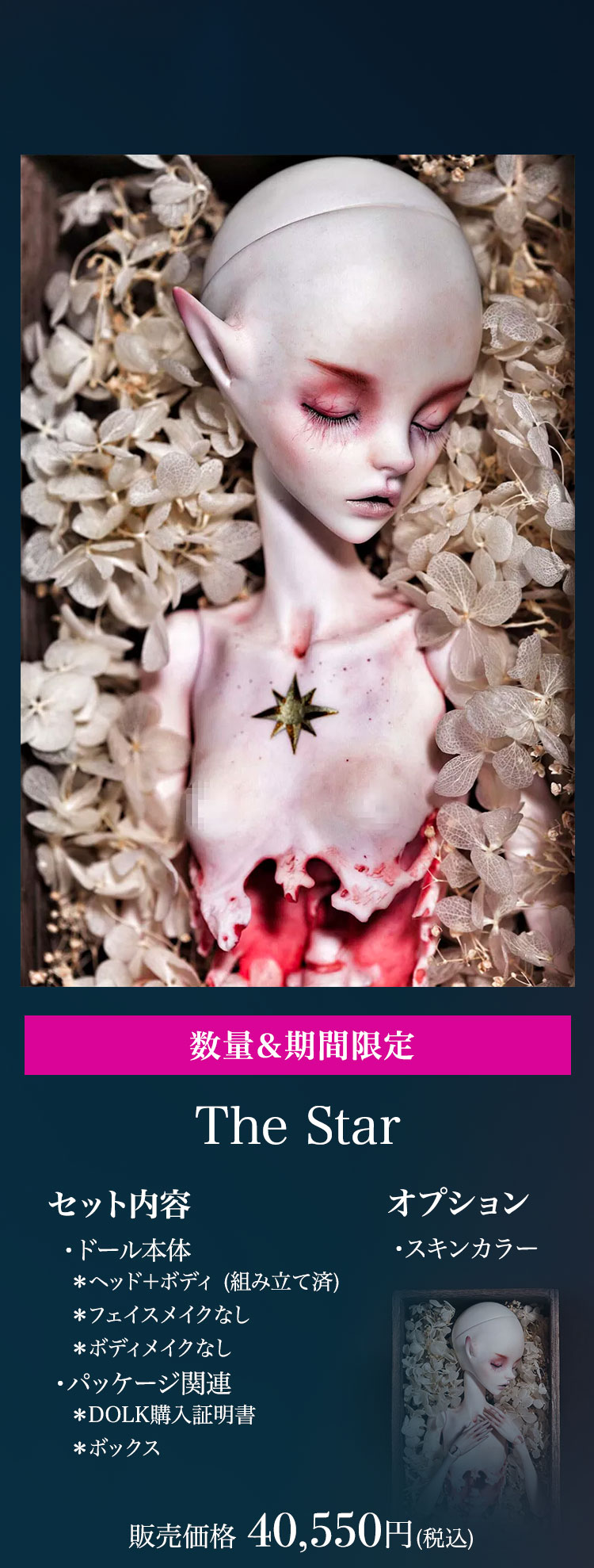 DOLLZONE｜新作＆期間限定キャンペーン 特設 - DOLK（ドルク）