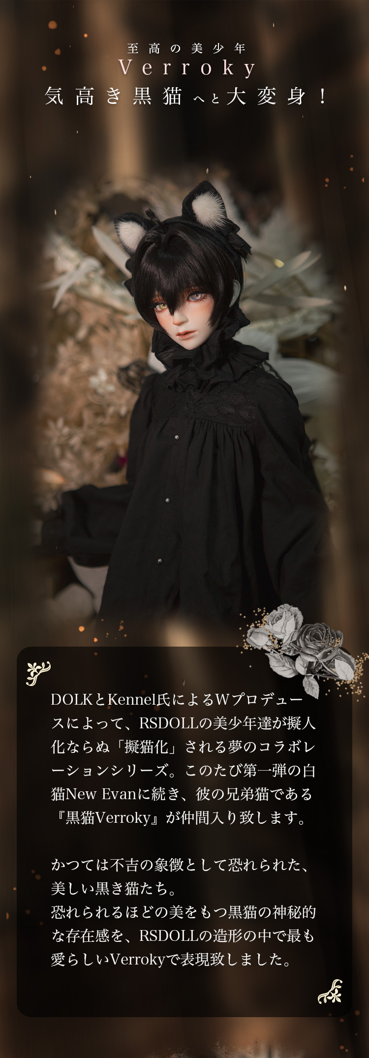 DOLK×RSDOLL×kennel×Codename | Verroky 黒猫 ver. Limited 特設