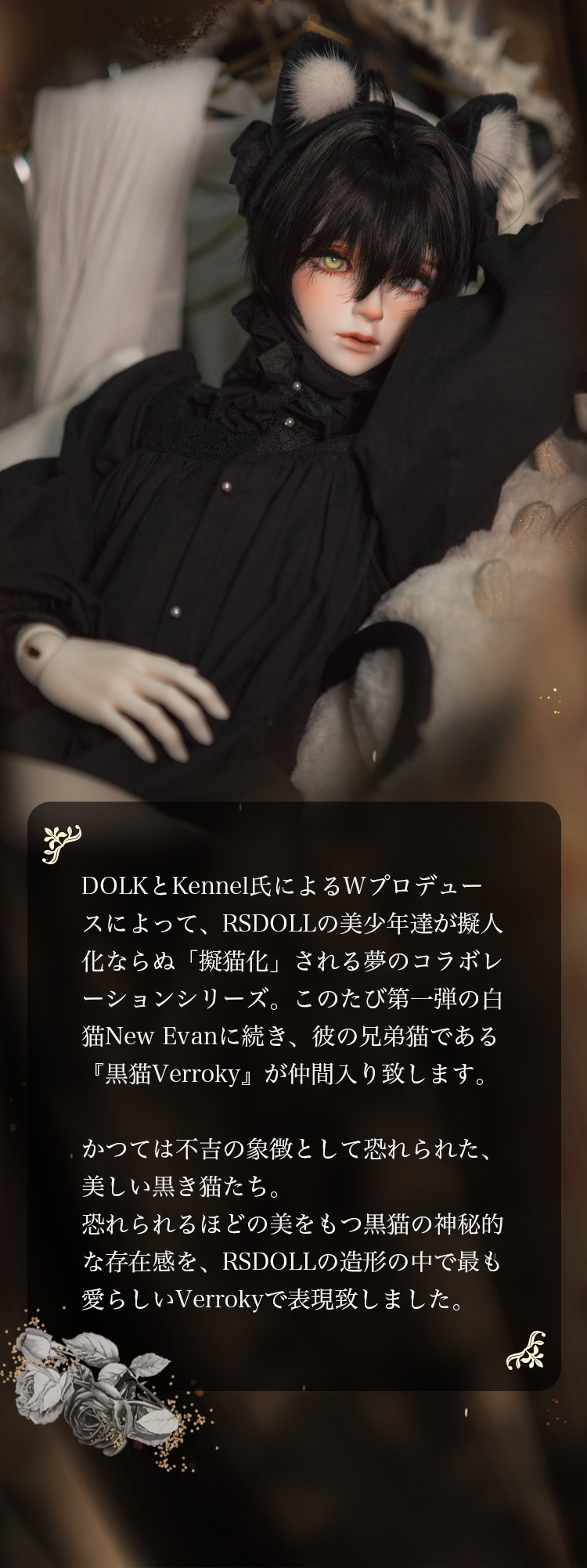 DOLK×RSDOLL×kennel×Codename | Verroky 黒猫 ver. Limited 特設