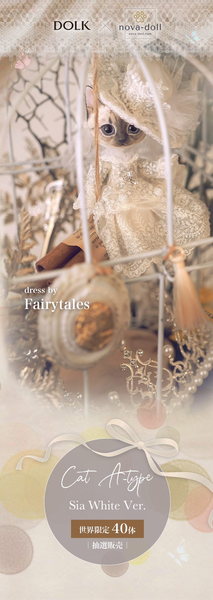 タイトルイメージ