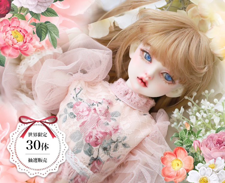 DOLK×Petit Soirée | Mille feuilles - Rosetta ver. Limited 特設