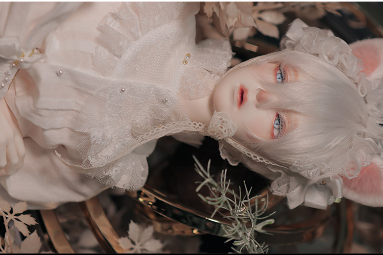 DOLK×RSDOLL×kennel×Codename |New EVAN 白猫 ver. Limited 特設 