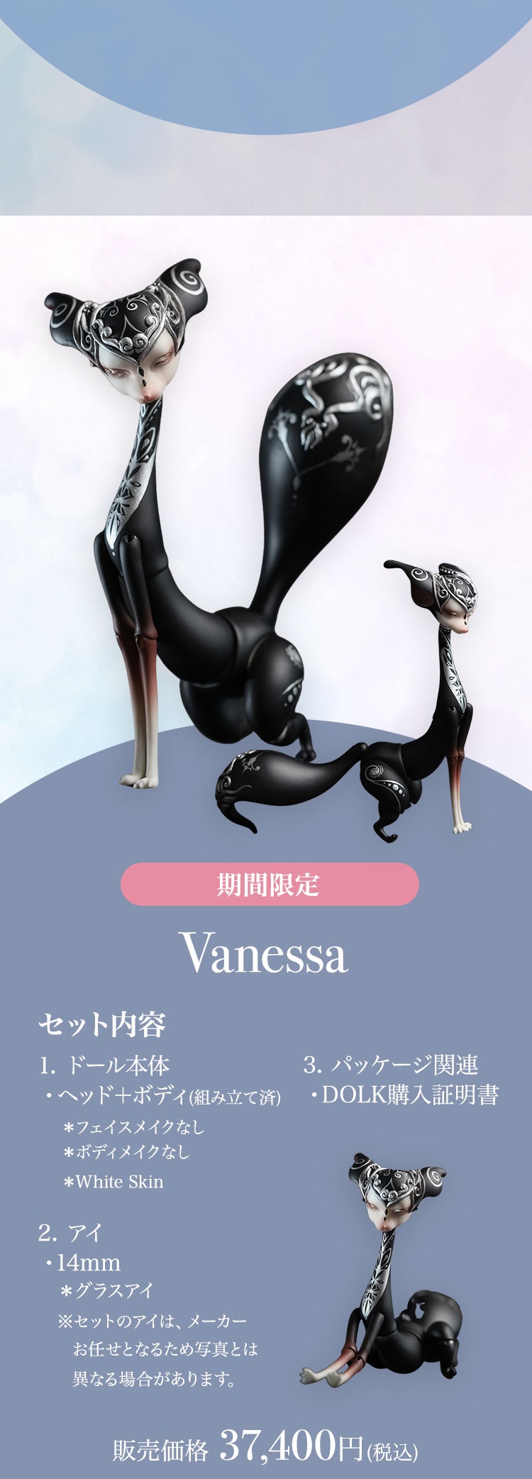 ★専用★未使用　Maison de Dolce スウィートNT 黒 お得なSET