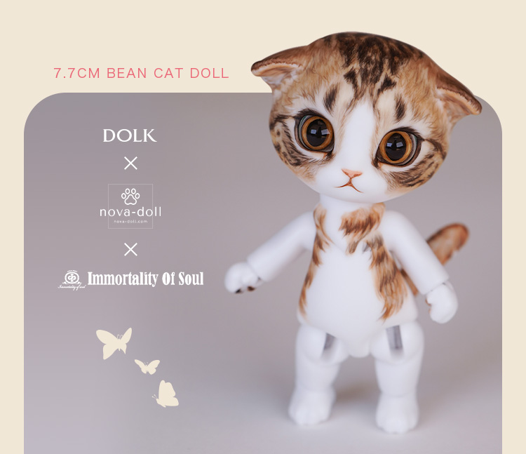 タイトルイメージ