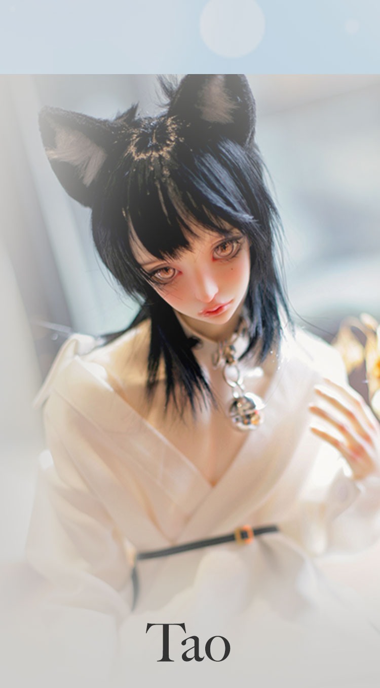 AIMERAI｜期間限定キャンペーン 特設 - DOLK（ドルク）