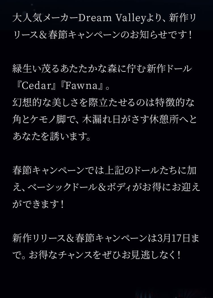 Dream Valley｜期間限定春節キャンペーン 特設 - DOLK（ドルク）