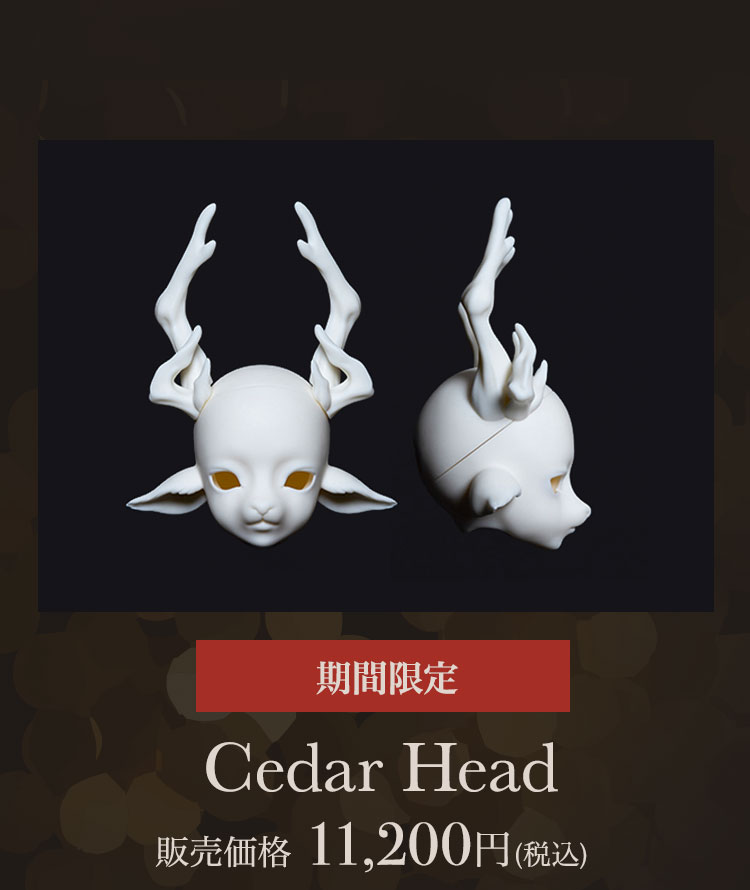 Dream Valley｜期間限定春節キャンペーン 特設 - DOLK（ドルク）