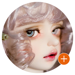 FOVEO｜期間限定商品のお知らせ 特設 - DOLK（ドルク）