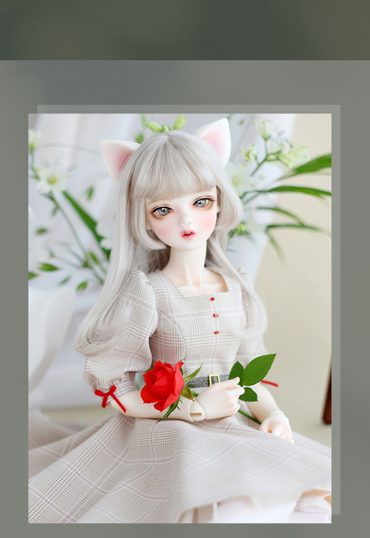 FOVEO｜期間限定商品のお知らせ 特設 - DOLK（ドルク）