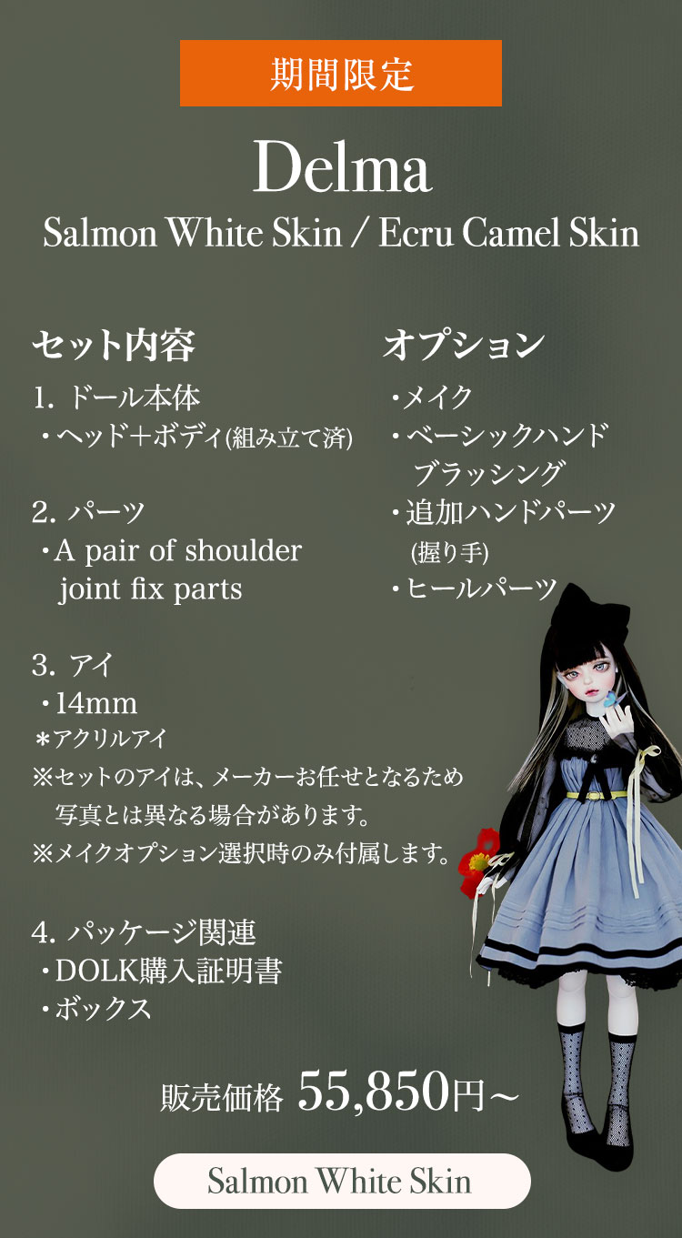 FOVEO｜期間限定商品のお知らせ 特設 - DOLK（ドルク）