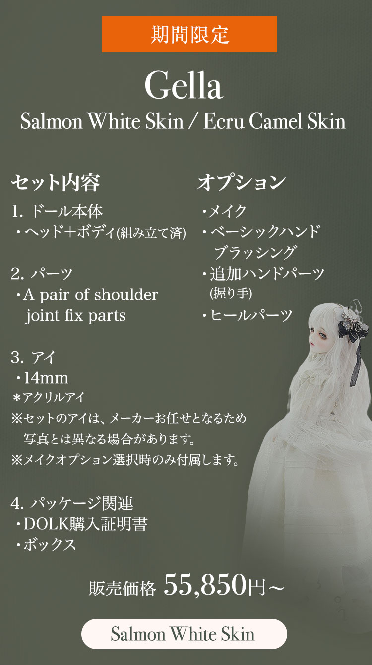 FOVEO｜期間限定商品のお知らせ 特設 - DOLK（ドルク）