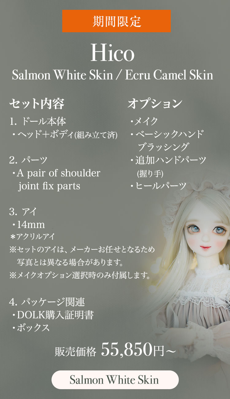 FOVEO｜期間限定商品のお知らせ 特設 - DOLK（ドルク）