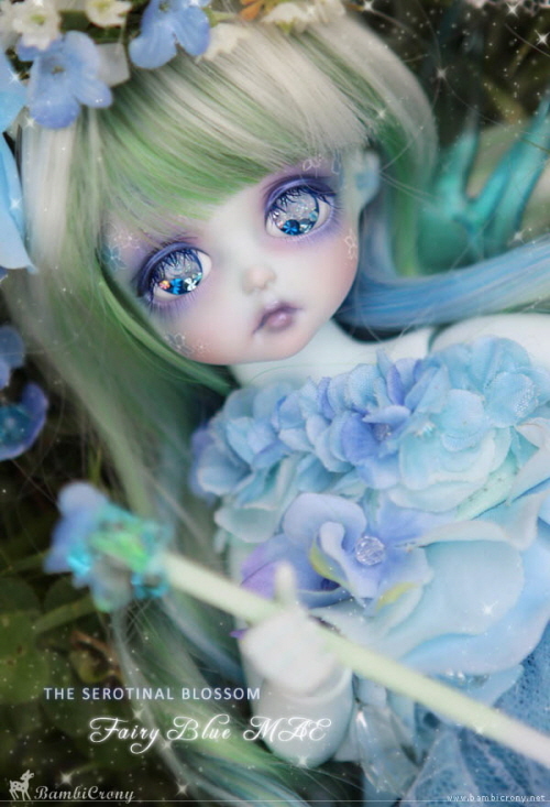 doll photo