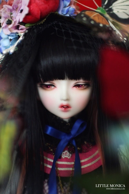 doll photo