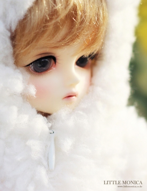 doll photo