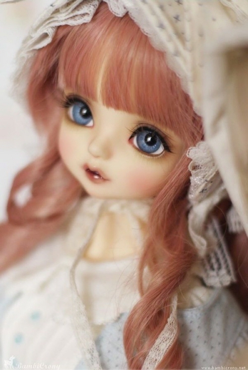 doll photo
