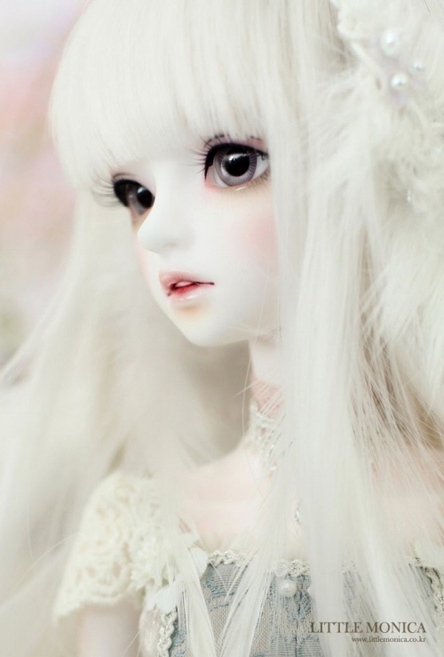 doll photo