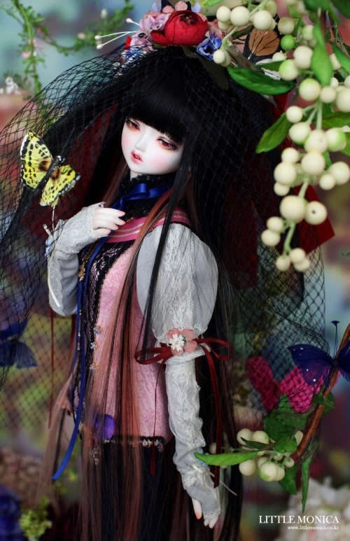 doll photo