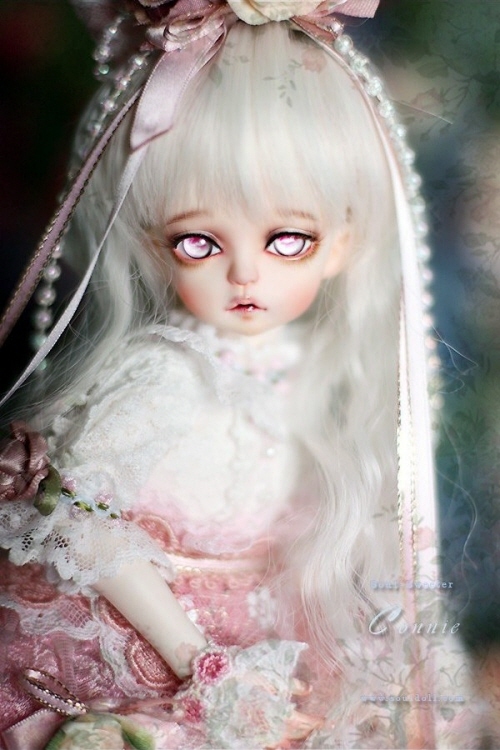 doll photo