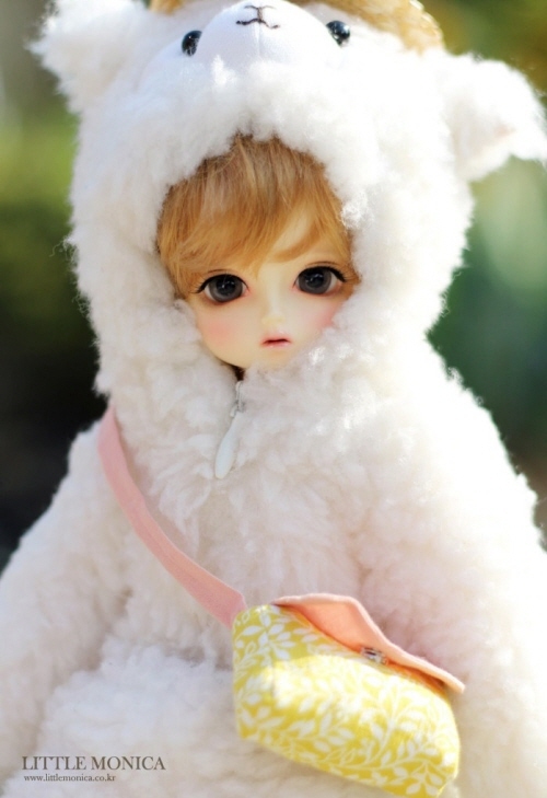 doll photo