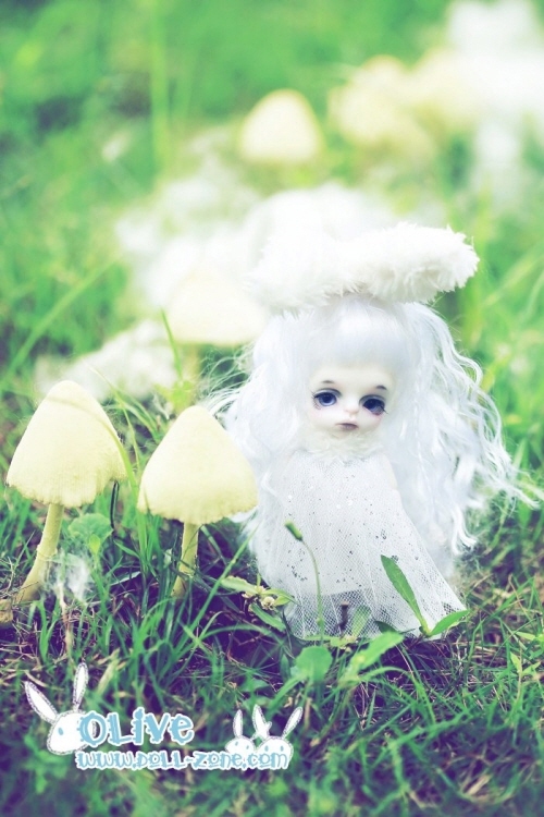 doll photo