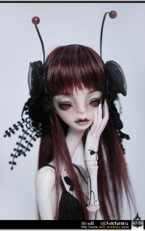 doll photo