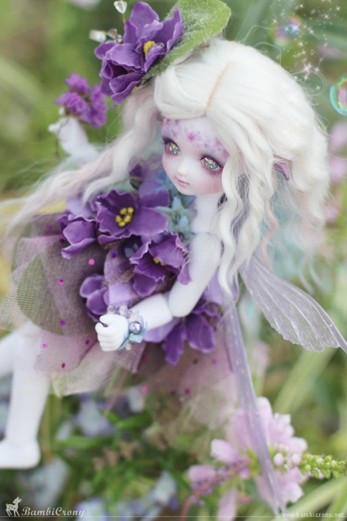 doll photo