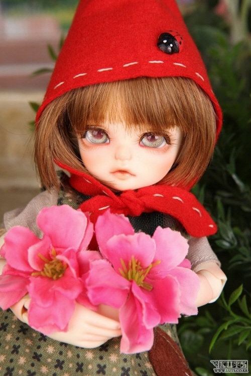 doll photo