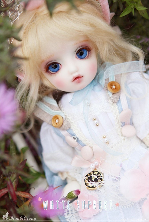 doll photo