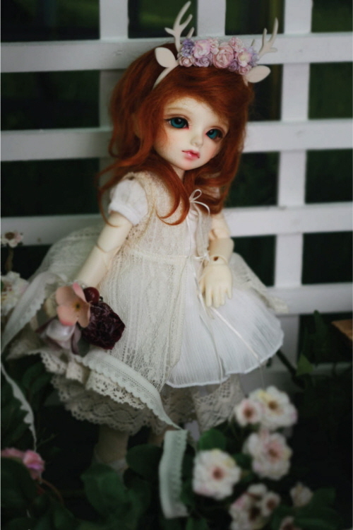 doll photo