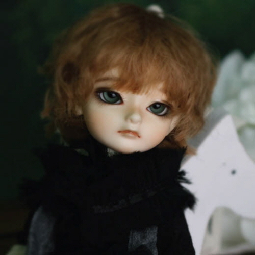 doll photo