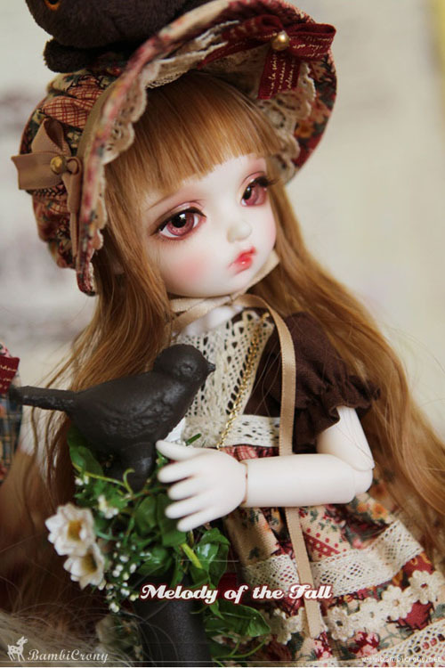 doll photo