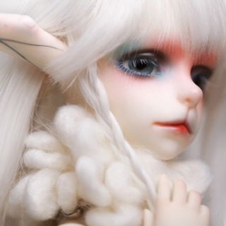 doll photo