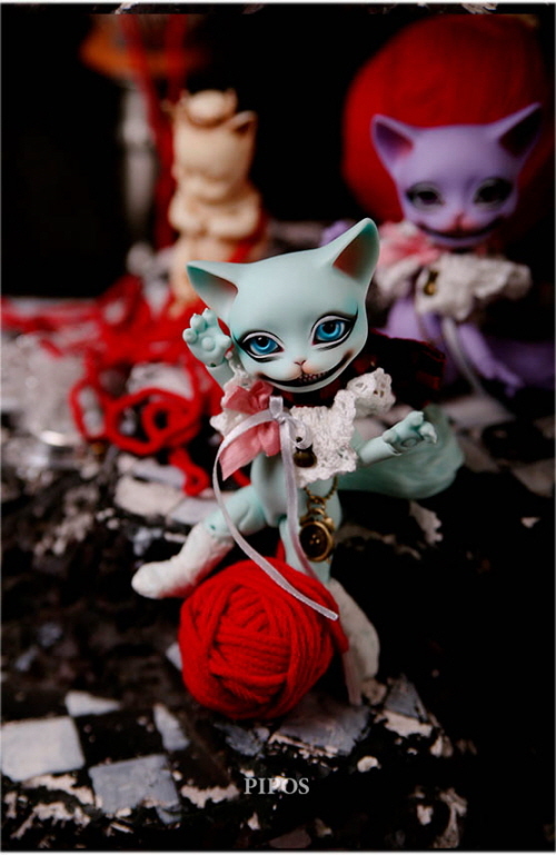 doll photo