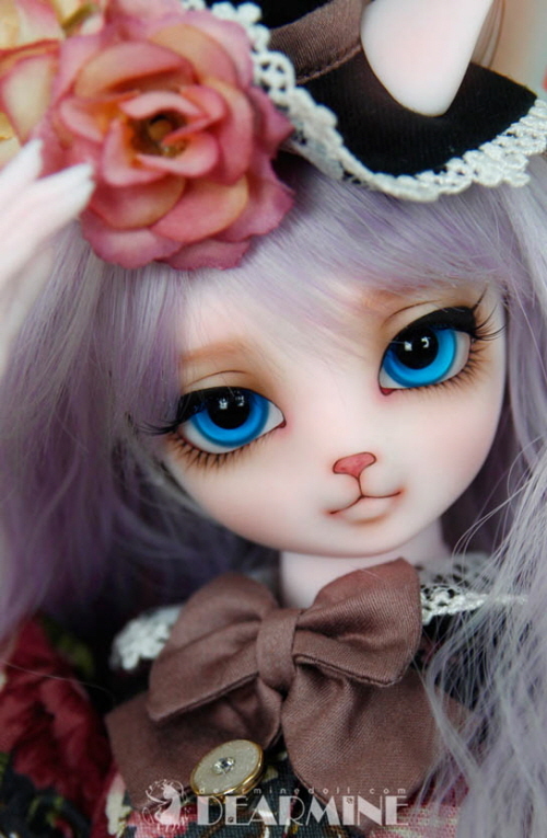 doll photo