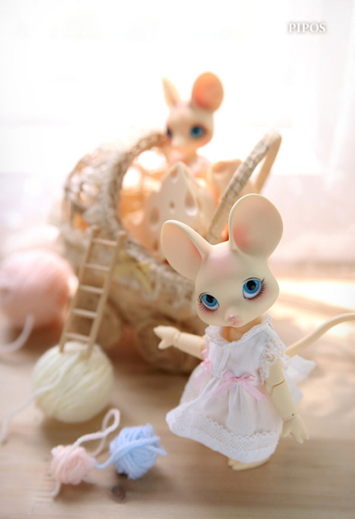 doll photo