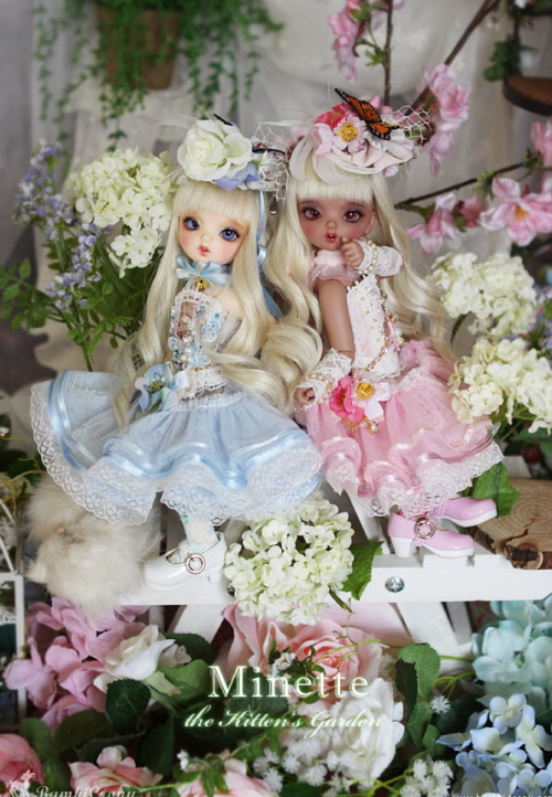 doll photo