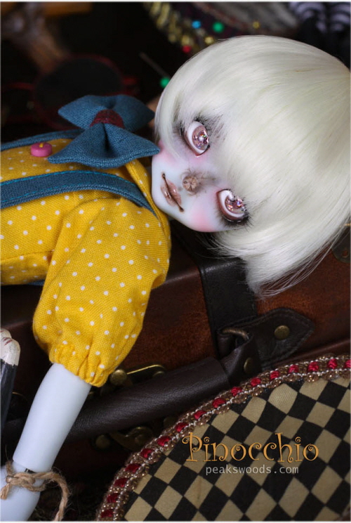 doll photo