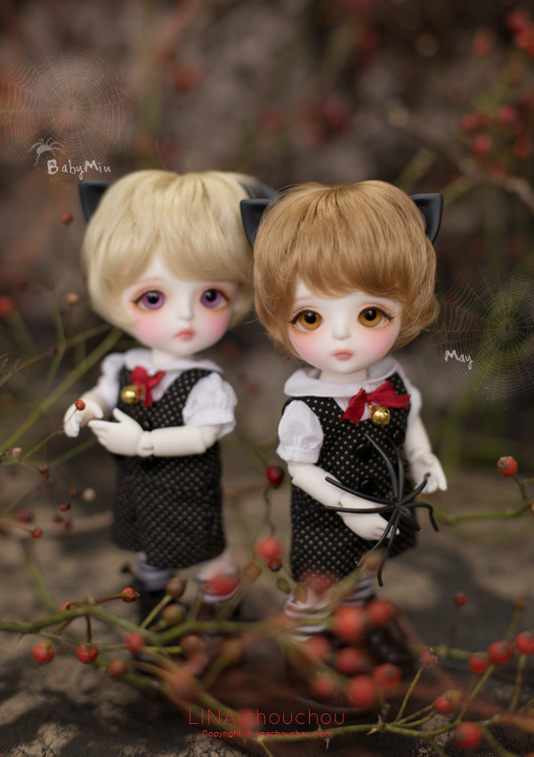 doll photo