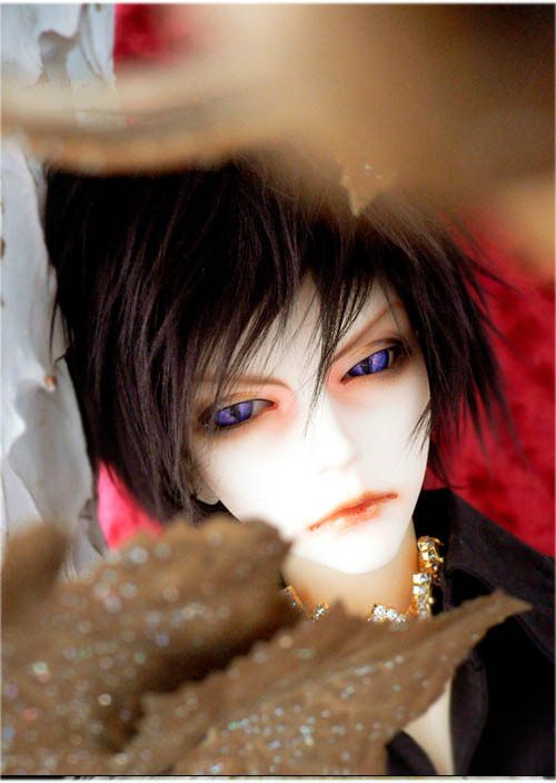 doll photo