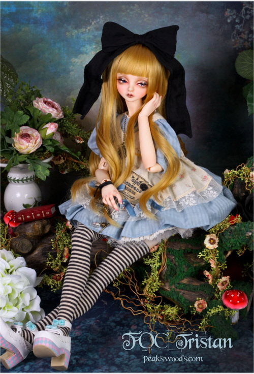 doll photo