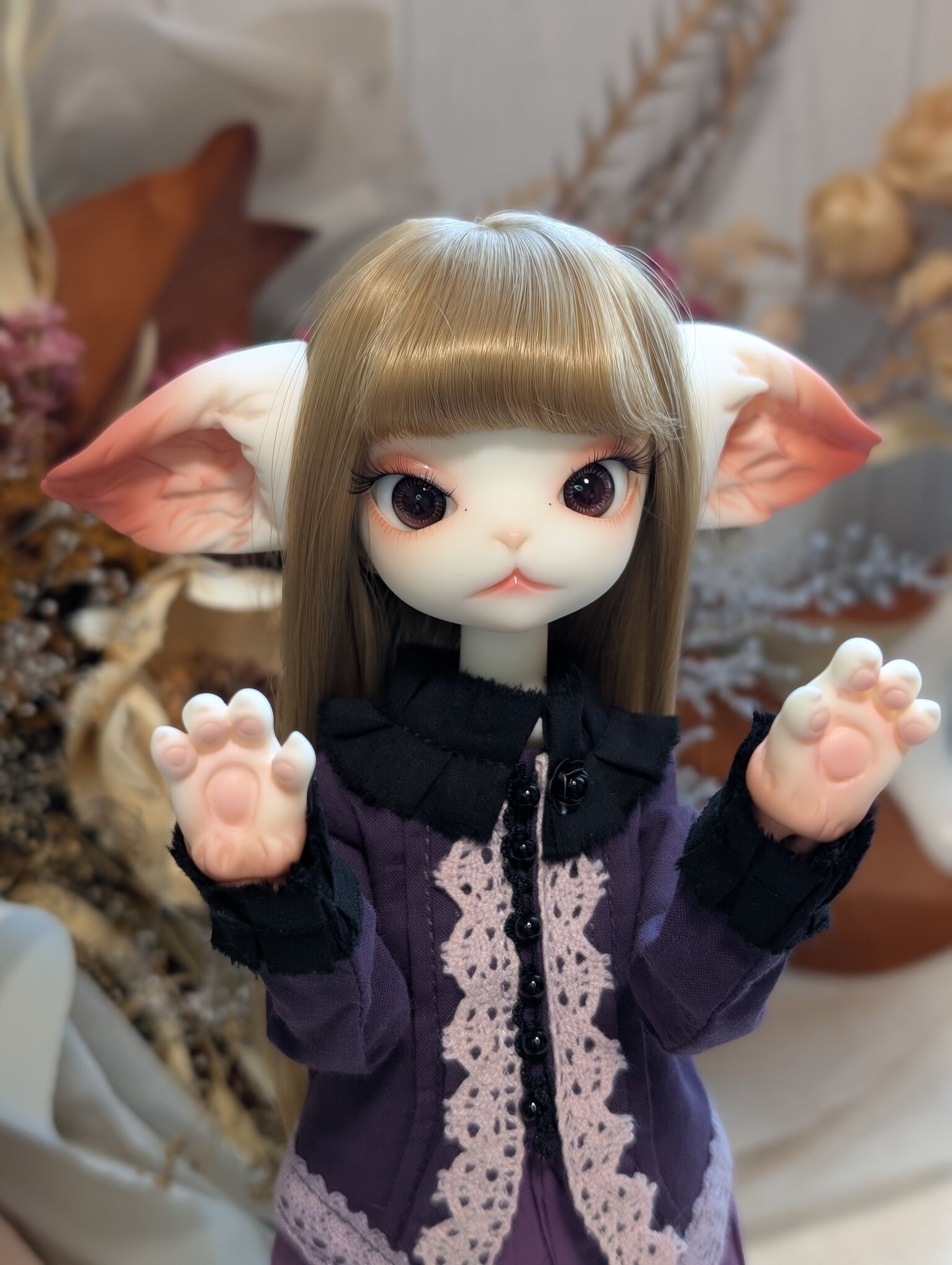 Miss Kitty Fullset｜DOLK（ドルク）