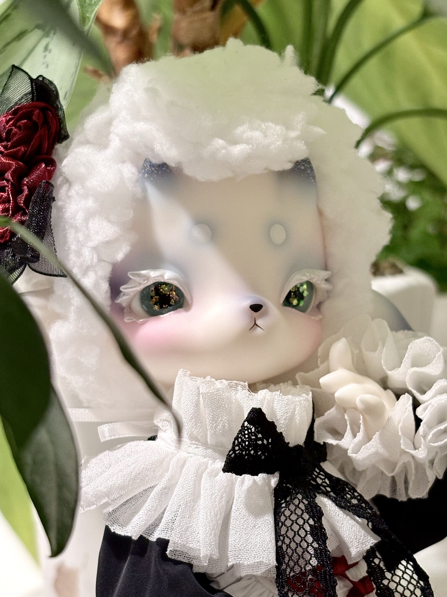 DOLK×Coral Reef Doll】Mie-mie Aries ver. Limited ＜Special Reissue